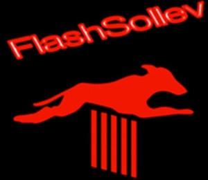 logo flash sollev