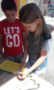 20170515_142809_resized - Copie