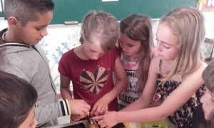 20170515_135504 - Copie