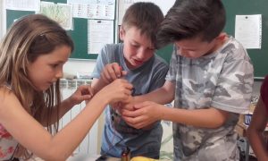 20170515_140203 - Copie