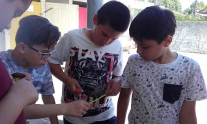 20170516_144942 - Copie