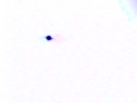 icareII (1310)