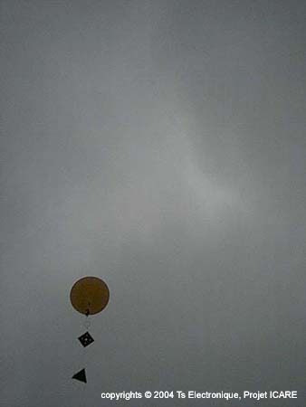 Pic0081