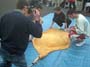 Pic0065