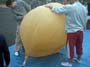 Pic0067