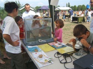 aquarium_plaquette