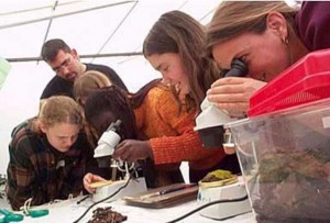 Enfants utilisant des binoculaires — Planète Sciences Méditerranée