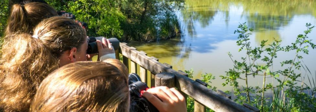 🌿 Partez à la découverte des trésors naturels des Parcs Naturels des Alpes-Maritimes !