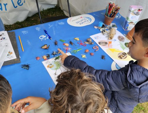 À Blandy-les-Tours, les petites bêtes ont eu la vedette !