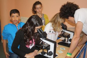 atelier cycle de la vie
